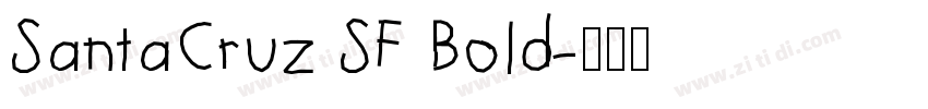 SantaCruz SF Bold字体转换